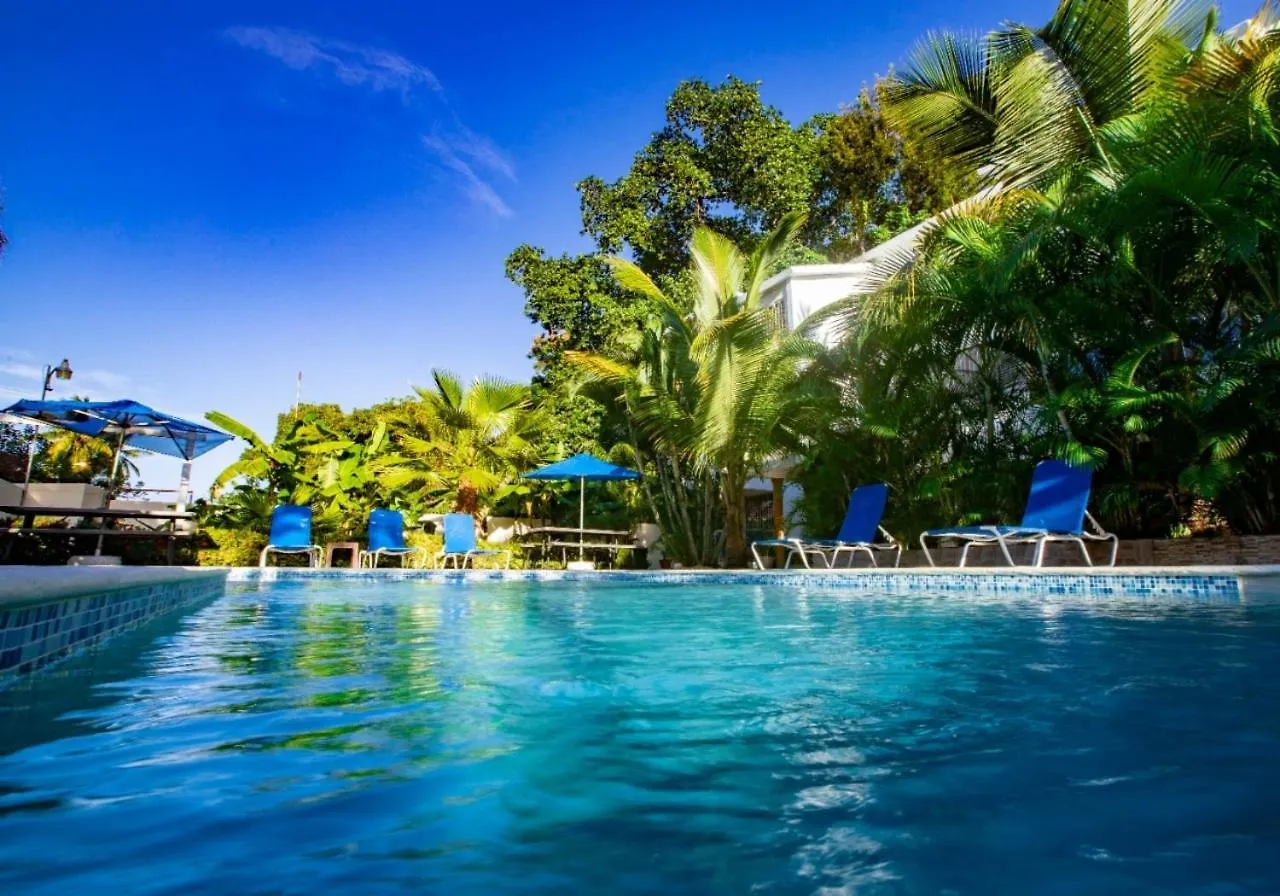 Stylish 1R-1B Apt Near The Beach And Main Street Sosúa